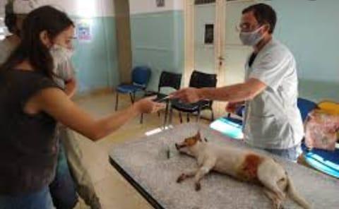Desde VESPA Chacabuco continÃºan reclamando por 25 castraciones diarias