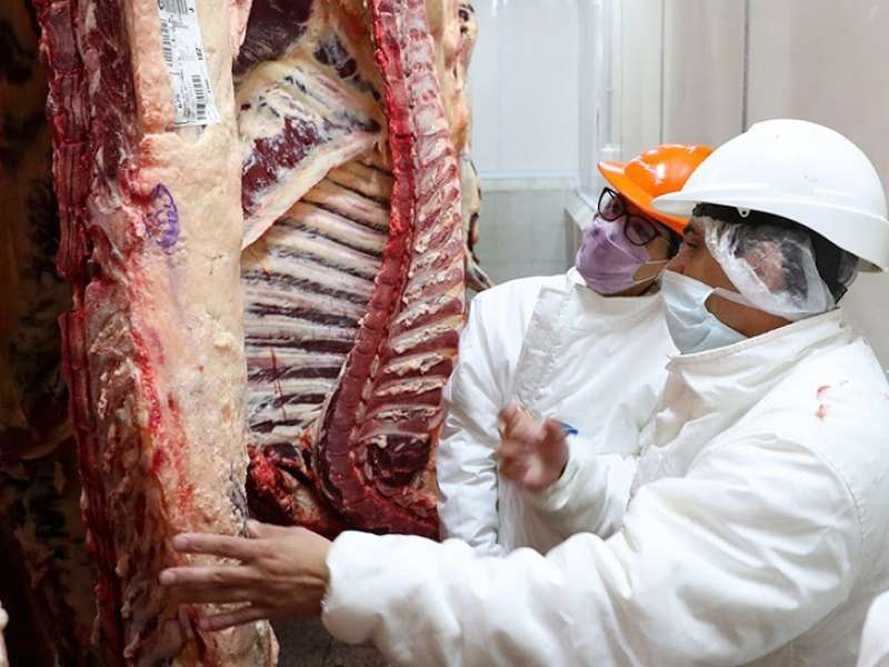 El Gobierno anuncia un Plan Ganadero y un nuevo esquema exportador de carne