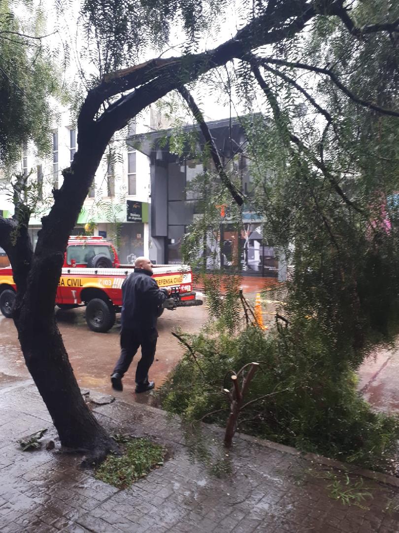 Defensa Civil realizÃ³ sendos trabajos tras la tormenta